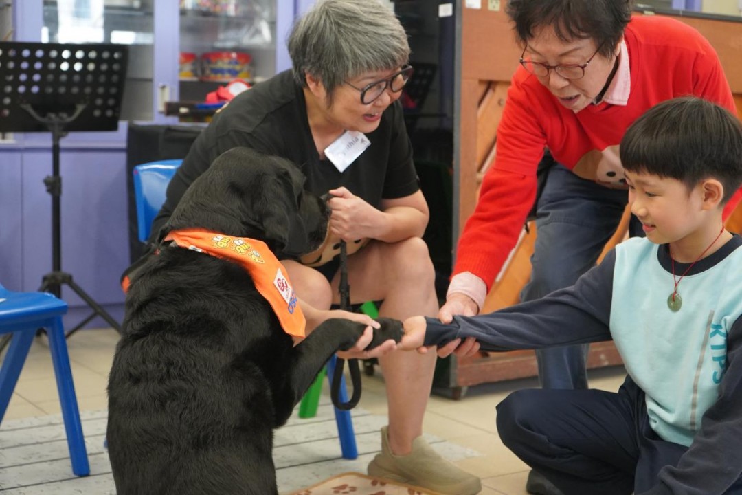 小Q伴成長