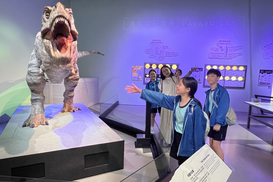 P6_2.JPG